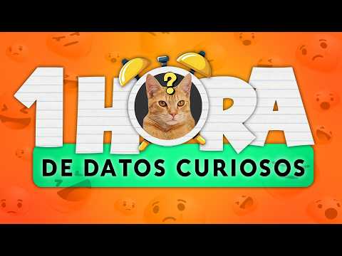 1 HORA de DATOS CURIOSOS y COSAS QUE NO SABÍAS! ⏰😲