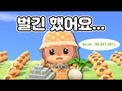 9억벨 버는 방법? 직접 해보니까 이렇습니다