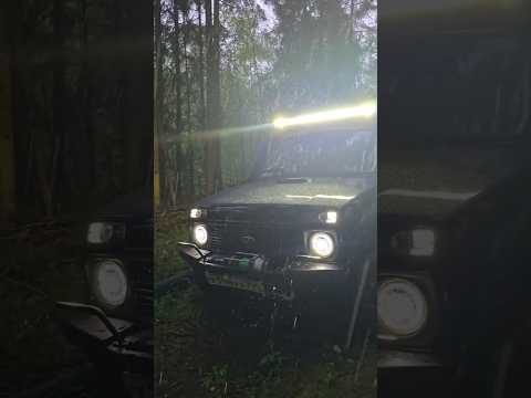 Вечерний ужин в лесу. #shorts #niva3d #нива #travel #природа #nature #ужин #покатушка #offroad #лес