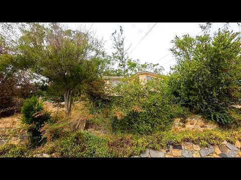 BACKBREAKING Yard Makeover Will LEAVE YOU SPEECHLESS