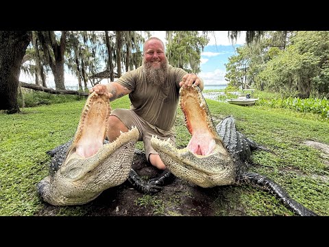 Two Giant Alligators One Day!!! Catch & Cook