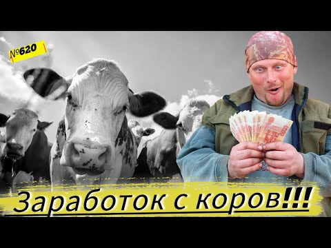 По какой цене мы сдаём молоко? Какую компенсацию мы получаем от государства за его производство?