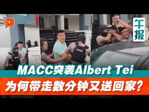 【百格午报】Albert Tei被大动作突袭又载回家 MACC举动惹议 | 28.11.2025