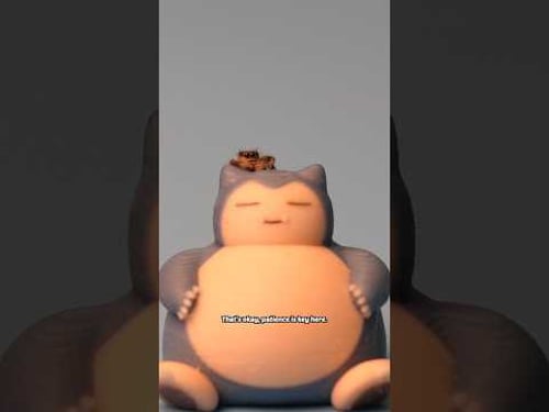 bonding with a tiny spider