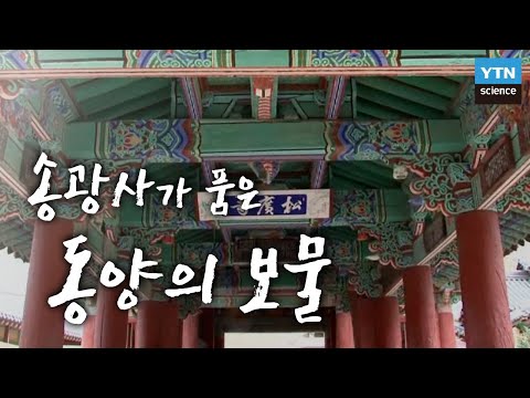 송광사가 품은 동양의 보물 / YTN 사이언스