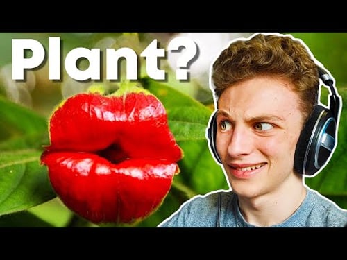 Ranking the Earth's WEIRDEST Plants...