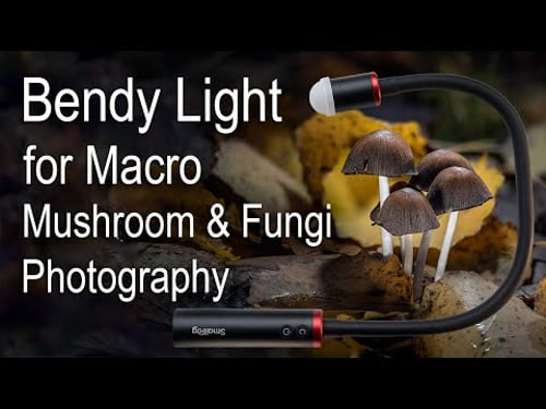 Bendy Light for Macro Mushroom & Fungi Photography - Smallrig RM03