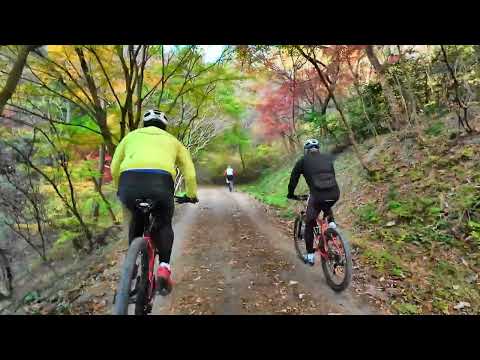 나주 금성산 한수제에서 떡재 코스-가을속으로..