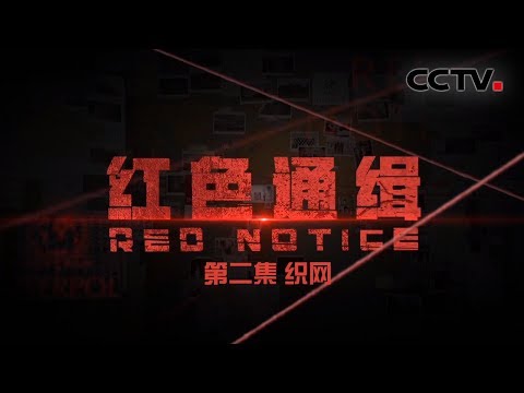 《红色通缉》 第二集 《织网》告诉你“天网”是怎样发挥作用的 | CCTV 国际追逃追赃纪实片