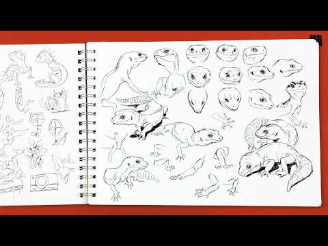 Sketchbooking to Build Your Visual Library