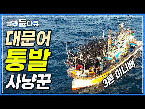 통발 4,000개 1억 2천만 원! 작은 통통배로 거친 바다에 깡다구 인생 모두 걸었다!│큰 놈 잡는 작은 배! 40kg 대왕문어를 잡아라!│대문어 잡이│바닷가 사람들│#골라듄다큐
