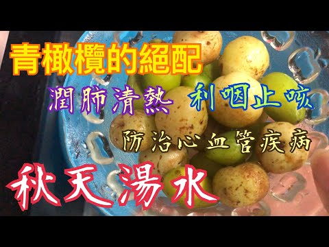 《秋天湯水》💯4種材料🥰利咽止咳👍🏻潤肺清熱🔥預防心血管疾病❤️潤腸通便😘防癌 Autumn Soup