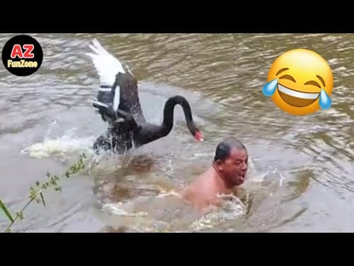 Best Funny Videos Of The Year - Fails & Hilarious Moments 😂🤣 Try Not To Laugh #18