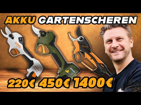 STIHL ASA20 vs. Germany's hardest wood 🌳🔥 | Professional tips for fruit tree pruning