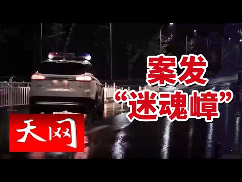 《天网》蜂巢被盗!湖北五峰乡警方迅速出击抓捕偷蜂贼 20241115
