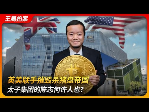 英美联手摧毁杀猪盘帝国,柬埔寨太子集团的陈志何许人也?|电信诈骗|洪森家族|比特币|美国司法部|王局拍案 20251029