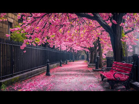 Gentle music, calms the nervous system and pleases the soul 🌿 healing music for the heart