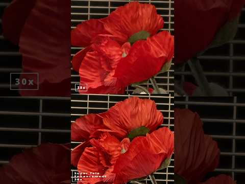 Vivo x100 ultra - super telephoto enhancement above 20x