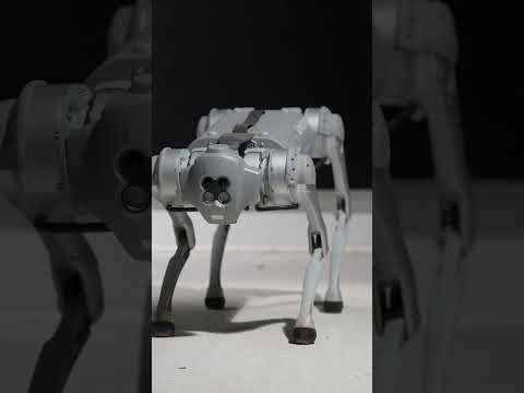 I hid. The tech found me. Game over. ππ‘π