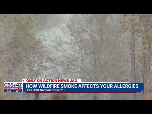 Wildfire smoke raises air quality and health concerns across Northeast Florida