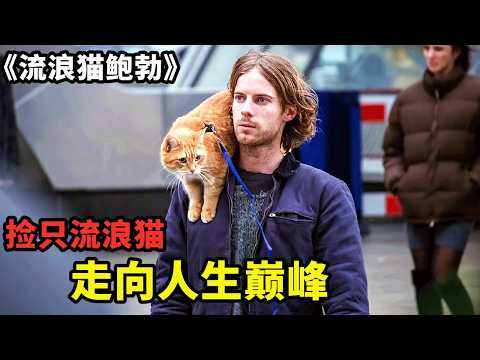 26萬人打出7.9高分,流浪漢撿到一隻流浪貓,從此徹底逆襲,走向人生巔峰!