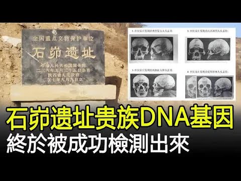 石峁遺址貴族DNA基因,終於被成功檢測出來,這裡真的是黃帝的遺址嗎?#石峁#DNA#黃帝#考古#奇聞#文物#風雲史記