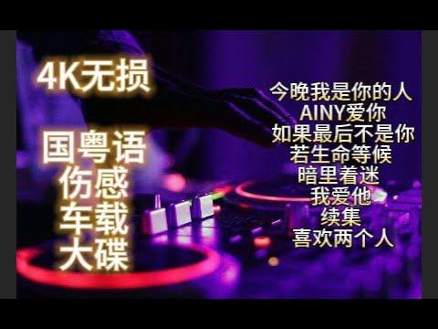 4K无损车载DJ(今晚我是你的人)国粤语车载40分钟FK串烧