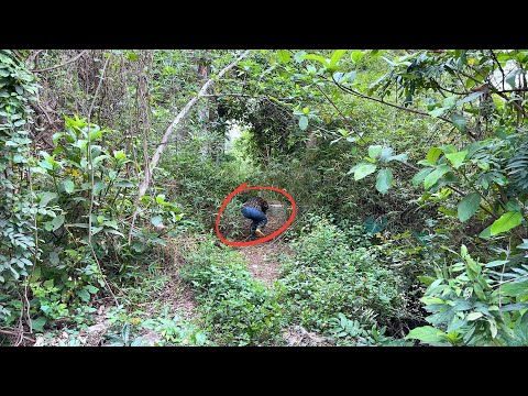 What scared this man when he returned to his old house to clean it up?