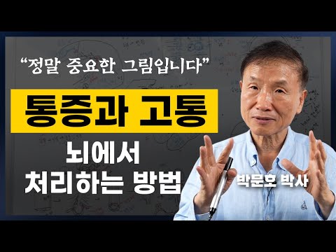 뇌가 처리하는 통증과 고통의 원리 (박문호 뇌과학자 강연2부)