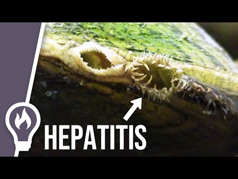 How to spread hepatitis around the world without leaving your house