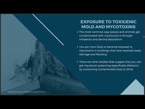 Health Implications of Mold Toxicity Signs & Symptoms You Shouldn’t Ignore