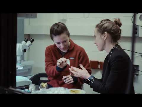 MIT HEALS: Driving Innovation in Health and Life Sciences