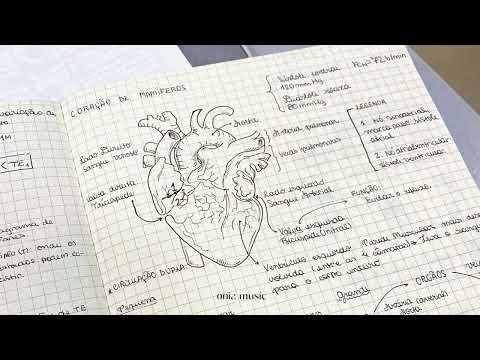 ๐ท๐๐๐๐๐๐๐ (inst) The Pencil Never Stops โ๏ธ Focus Study Playlist