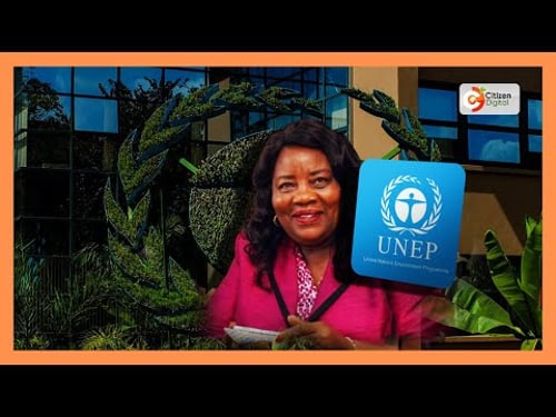 Ruto amteua Ida Odinga kuwa balozi wa Kenya katika UNEP