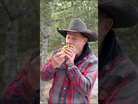 When That First Bite Hits Just Right!