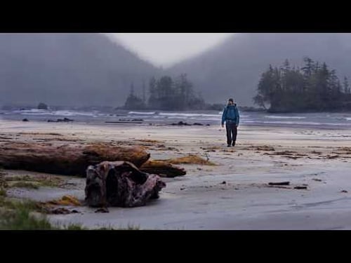 Camping with Bears in the Rainiest Place in North America