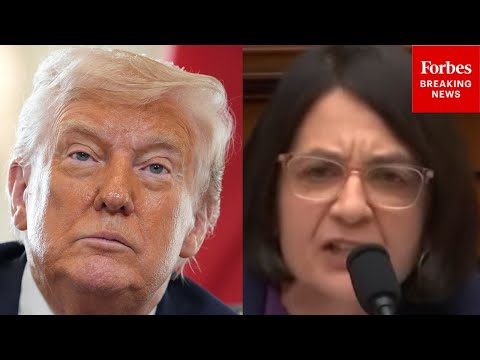 'Clear Violation Of Our Constitution': Balint Torches Trump's Proposal To Nationalize Elections