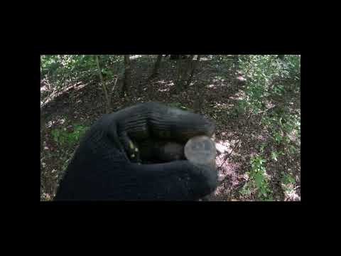 поиск закладок джидаев и остальных старых воров