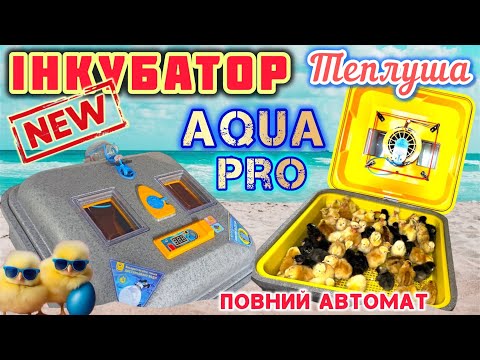 ✅Інкубувати стало ЛЕГШЕ‼️Новий ІНКУБАТОР Теплуша Euro88 AQUA Pro🐥Він зробить все сам і навіть більше
