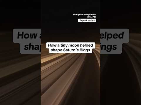 How a tiny moon helped shape Saturn's rings #shorts #saturn