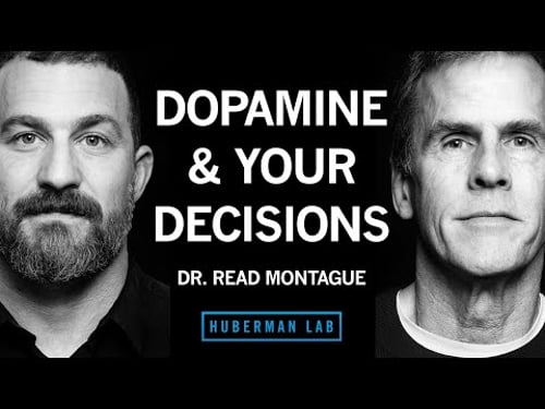 How Dopamine & Serotonin Shape Decisions, Motivation & Learning | Dr. Read Montague