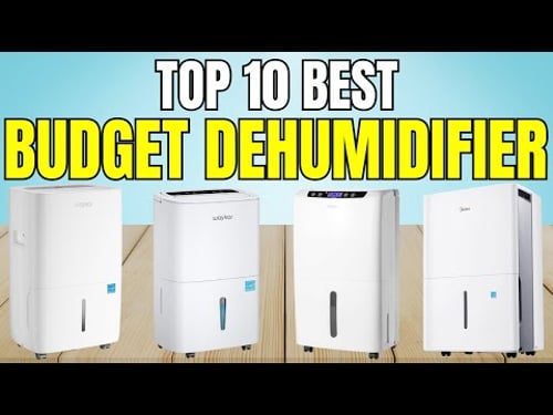 Best Budget Dehumidifier β Must Watch Before You Buy One!