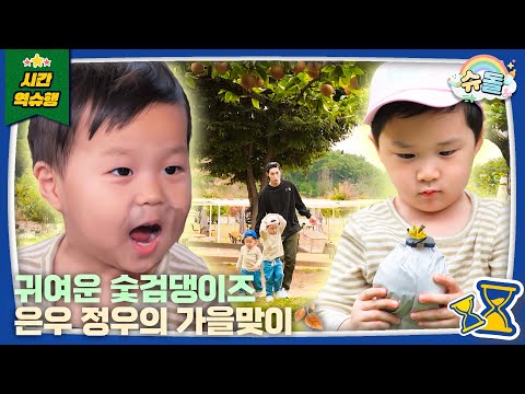 A Fall “Farm-cnic” Adventure with the Woo Brothers🌰│The Return Of Superman KBS 251105