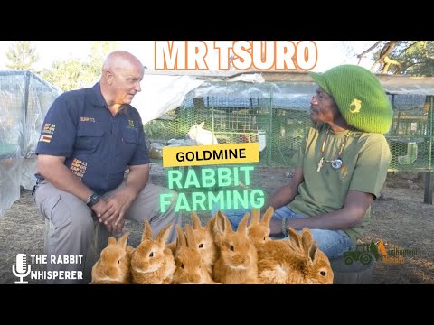 How Mr. Tsuro Built a Thriving Rabbit Farming Business in Zimbabwe | Simply Profitable & Sustainable