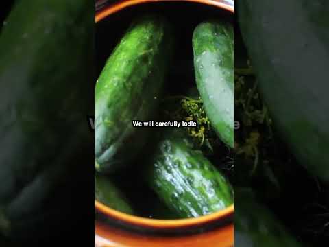 How to Make Dill Pickles at Home