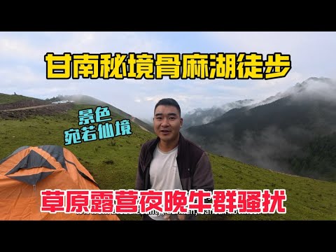 徒步甘南秘境骨麻湖,風景宛若仙境,晚上草原露營遇牛群騷擾,一整晚都在趕牛!