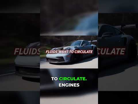 Preservation Through Use: Unleash Your Car! 💨