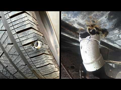 Customer States Compilation (Best of September & October 2025) | Just Rolled In