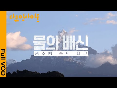 Water stress worsens alongside the climate crisis. Is bottled water truly a sustainable drinking ...