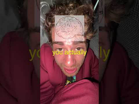 I Snuck My Friend In A Suitcase